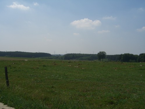 CIMG0027